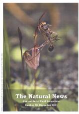 Thumbnail - The natural news