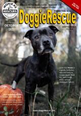 Thumbnail - DoggieRescue.