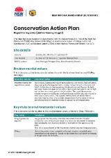 Thumbnail - Conservation Action Plan Regent honeyeater (Anthochaera phrygia).