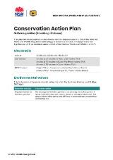 Thumbnail - Conservation Action Plan Guthrie's grevillea (Grevillea guthrieana).