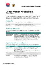 Thumbnail - Conservation Action Plan Banksia conferta.