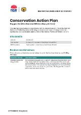 Thumbnail - Conservation Action Plan Bog grevillea (Grevillea acanthifolia subsp. paludosa).