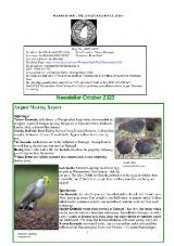 Thumbnail - Newsletter