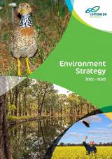 Thumbnail - Environmental Strategy 2022 - 2026