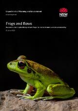 Thumbnail - Frog and flows : research update: prioritising stream frogs for environmental outcomes monitoring.