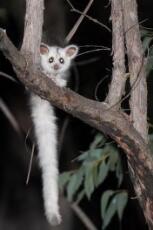 Thumbnail - Hut news