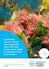 Thumbnail - Sustainably sourced natural colour pigments from cultivated native marine algae for the plant-based meat industry : a review of extraction, purification and stabilisation of phycoerythrin from marine red algae/