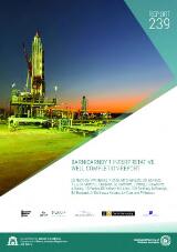 Thumbnail - Barnicarndy 1 interpretative well completion report