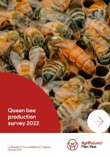 Thumbnail - Queen bee production survey 2022