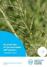 Thumbnail - An overview of the Australian teff industry : a feasibility report