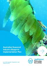 Thumbnail - Australian seaweed industry blueprint implementation plan : a way forward to grow the Australian seaweed industry