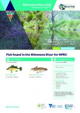 Thumbnail - Native fish report card : Wimmera River ... : Wimmera region.