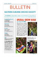 Thumbnail - Bulletin