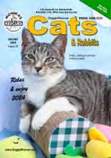 Thumbnail - DoggieRescue cats.