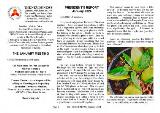 Thumbnail - The NEMOS news : the monthly newsletter of the North East Melbourne Orchid Society Inc.