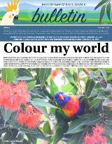 Thumbnail - Manningham & Nillumbik Diary Bulletin.