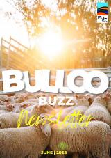 Thumbnail - Bulloo Shire Council