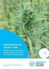 Thumbnail - Industrial  hemp variety trials  : results from the University of Sydney Narrabri trial site for the 2022-23 growing season