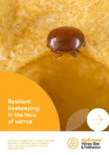 Thumbnail - Resilient beekeeping in the face of varroa