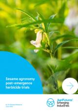 Thumbnail - Sesame agronomy post-emergence herbicide trials