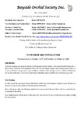 Thumbnail - Newsletter