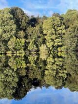 Thumbnail - Annual review