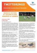 Thumbnail - TWITTERINGS - BirdLife Warrnambool Branch Newsletter.
