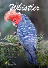 Thumbnail - The whistler.