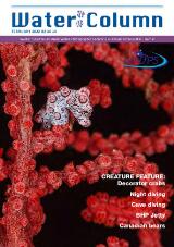 Thumbnail - The Water Column.