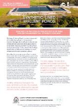 Thumbnail - Synthetic-lined effluent ponds.