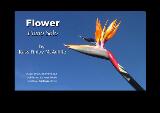 Thumbnail - Flower : piano solo