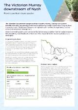 Thumbnail - The Victorian Murray downstream of Nyah : planning our basin future together.