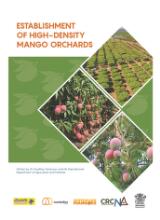 Thumbnail - Establishment of High-Density Mango Orchards
