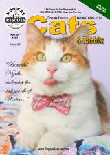 Thumbnail - DoggieRescue cats.