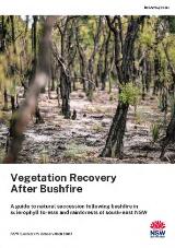 Thumbnail - Vegetation recovery after bushfire : a guide to natural succession following bushfire in sclerophyll forests and rainforests of South-east NSW