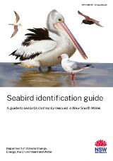 Thumbnail - Seabird identification guide : a guide to seabirds commonly rescued in New South Wales.