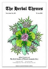 Thumbnail - The Herbal thymes : official newsletter of Herb Society of Western Australia (Inc).