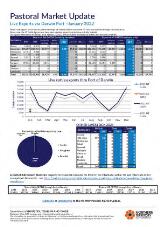 Thumbnail - Pastoral Market Update.