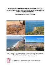 Thumbnail - Monitoring of Eastern Australian Flatback turtle, Natator depressus, breeding populations in the Gladstone region : 2022-2023 breeding season