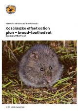 Thumbnail - Kosciuszko offset action plan – broad-toothed rat.