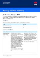 Thumbnail - Weekly incident summary.