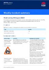 Thumbnail - Weekly incident summary.