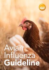 Thumbnail - Avian Influenza Guideline : A GUIDELINE FOR AUSTRALIAN FREE RANGE EGG FARMS