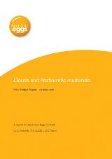 Thumbnail - Clouds and Pasteurella multocida