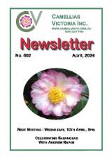 Thumbnail - Newsletter