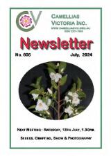 Thumbnail - Newsletter