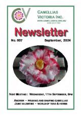 Thumbnail - Newsletter