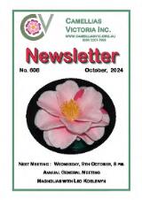 Thumbnail - Newsletter