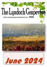 Thumbnail - The Lyndoch grapevine.