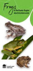 Thumbnail - Frogs of the Hunter Region identification guide